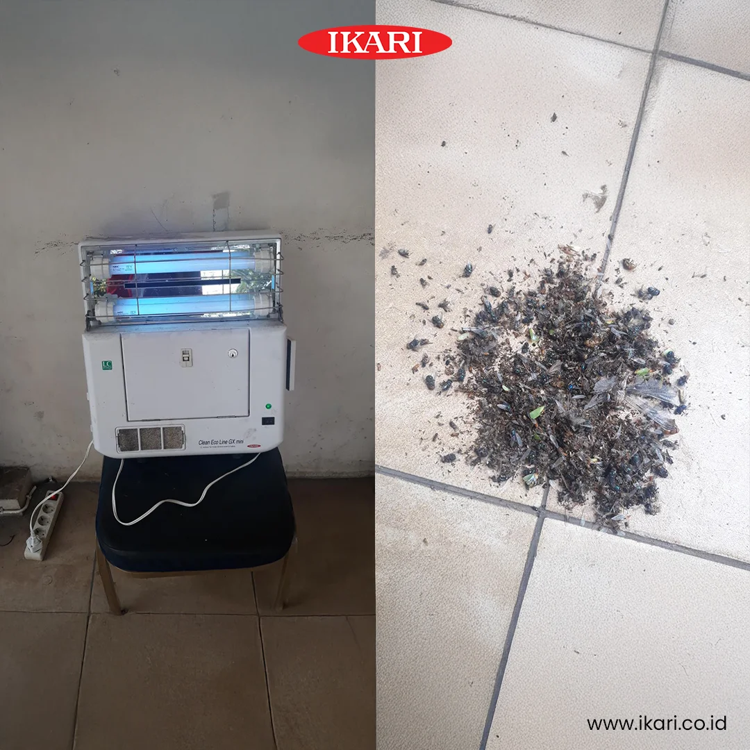 GX Mini - Insect Catcher