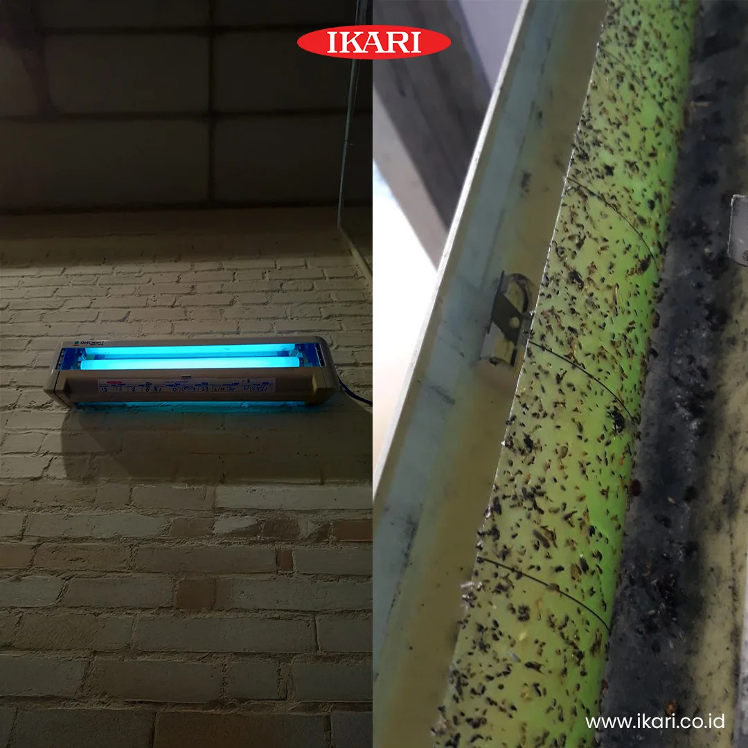Optclean - Insect Catcher