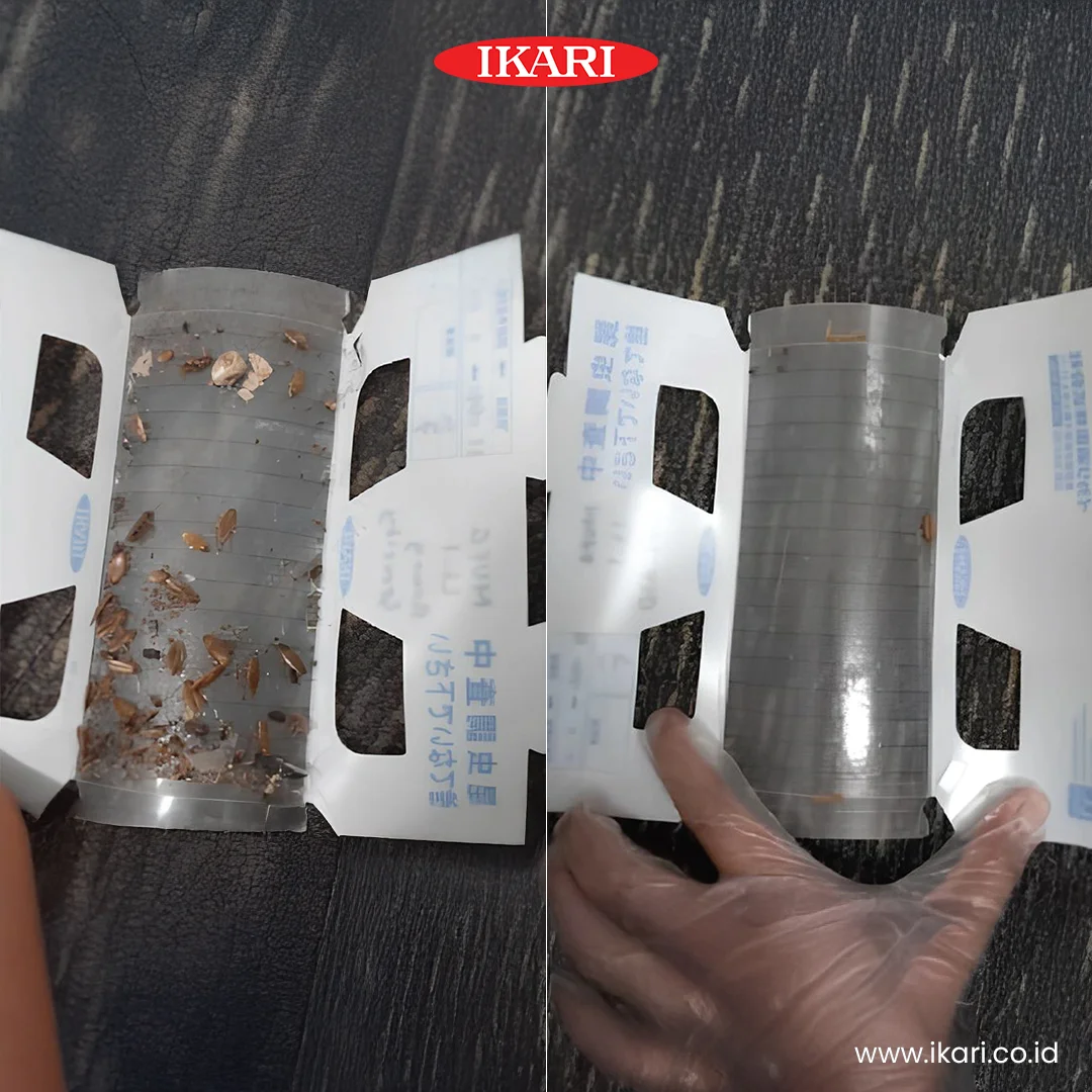 Walking Insect Trap - Pembasmi Kecoa