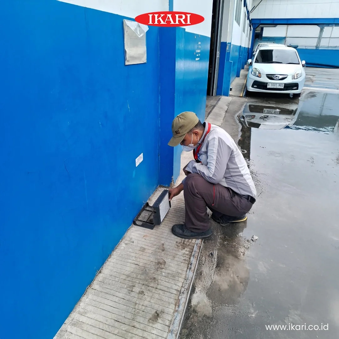 Pemasangan Baiting Box Pembasmi Tikus
