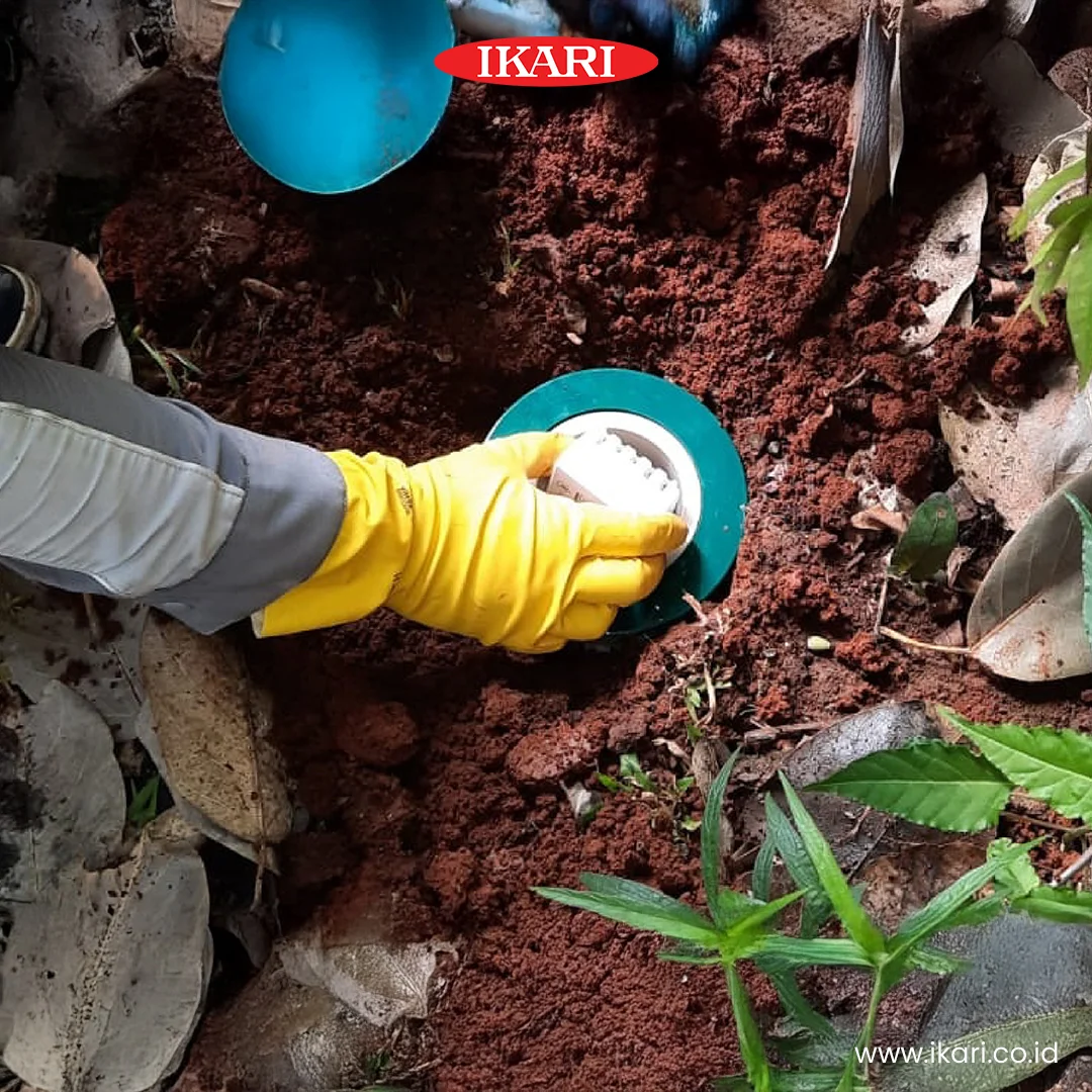 Pemasangan Baiting Pembasmi Rayap