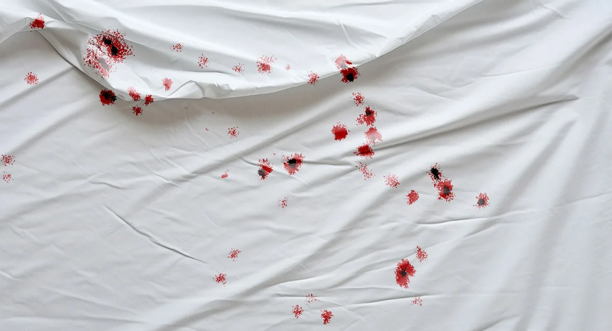 Jasa Basmi Kutu Kasur