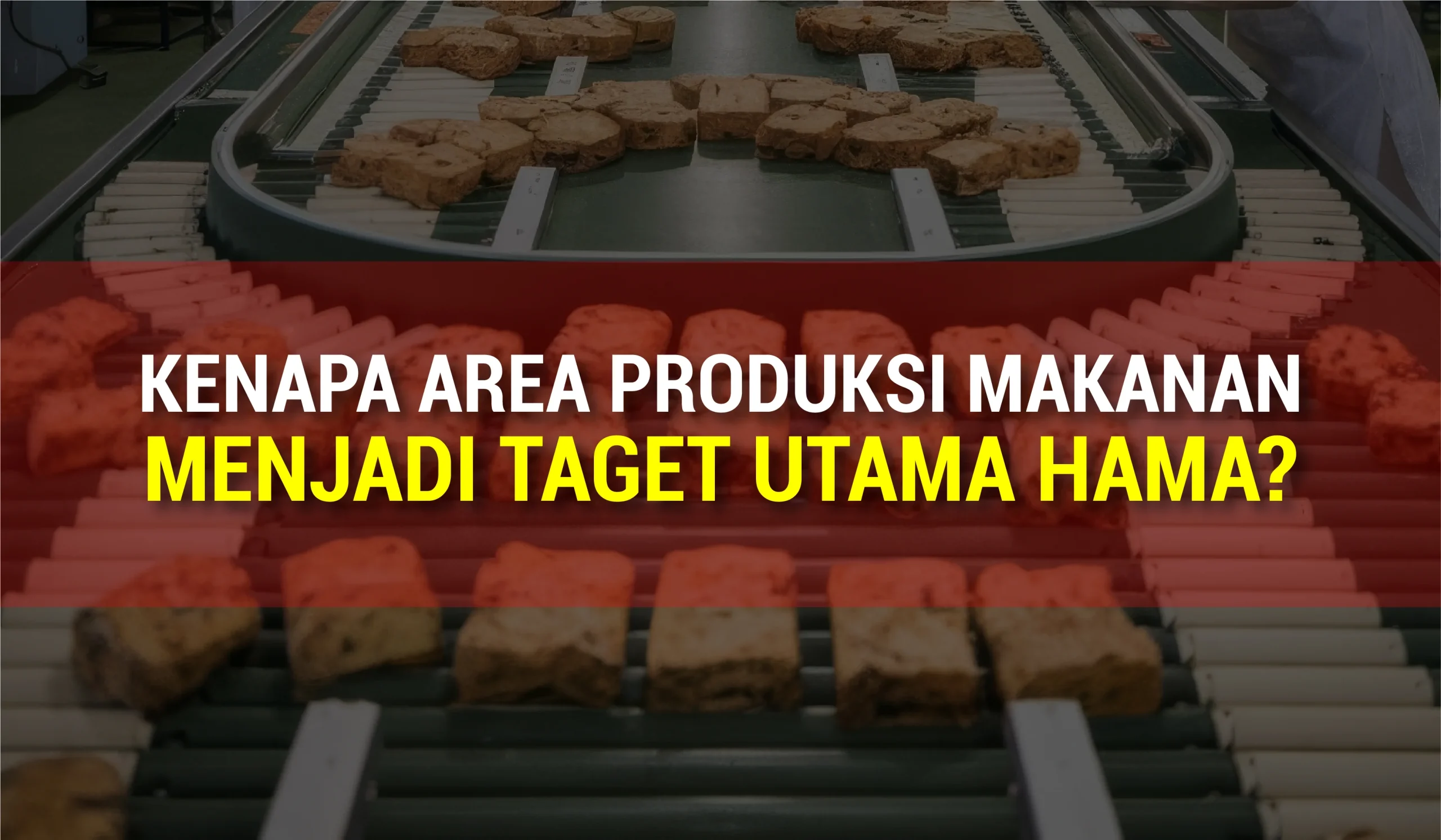 hama di area produksi makanan