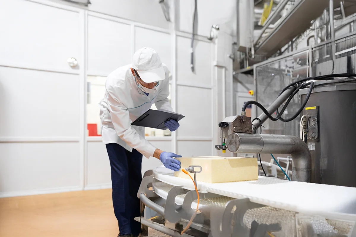 bahaya lalat pada makanan