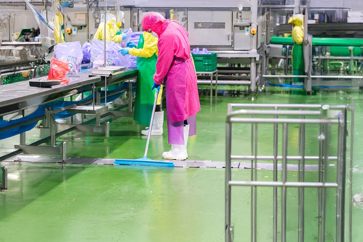 bahaya lalat pada makanan