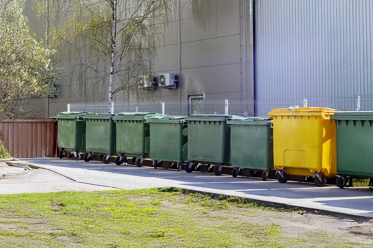bahaya lalat pada makanan