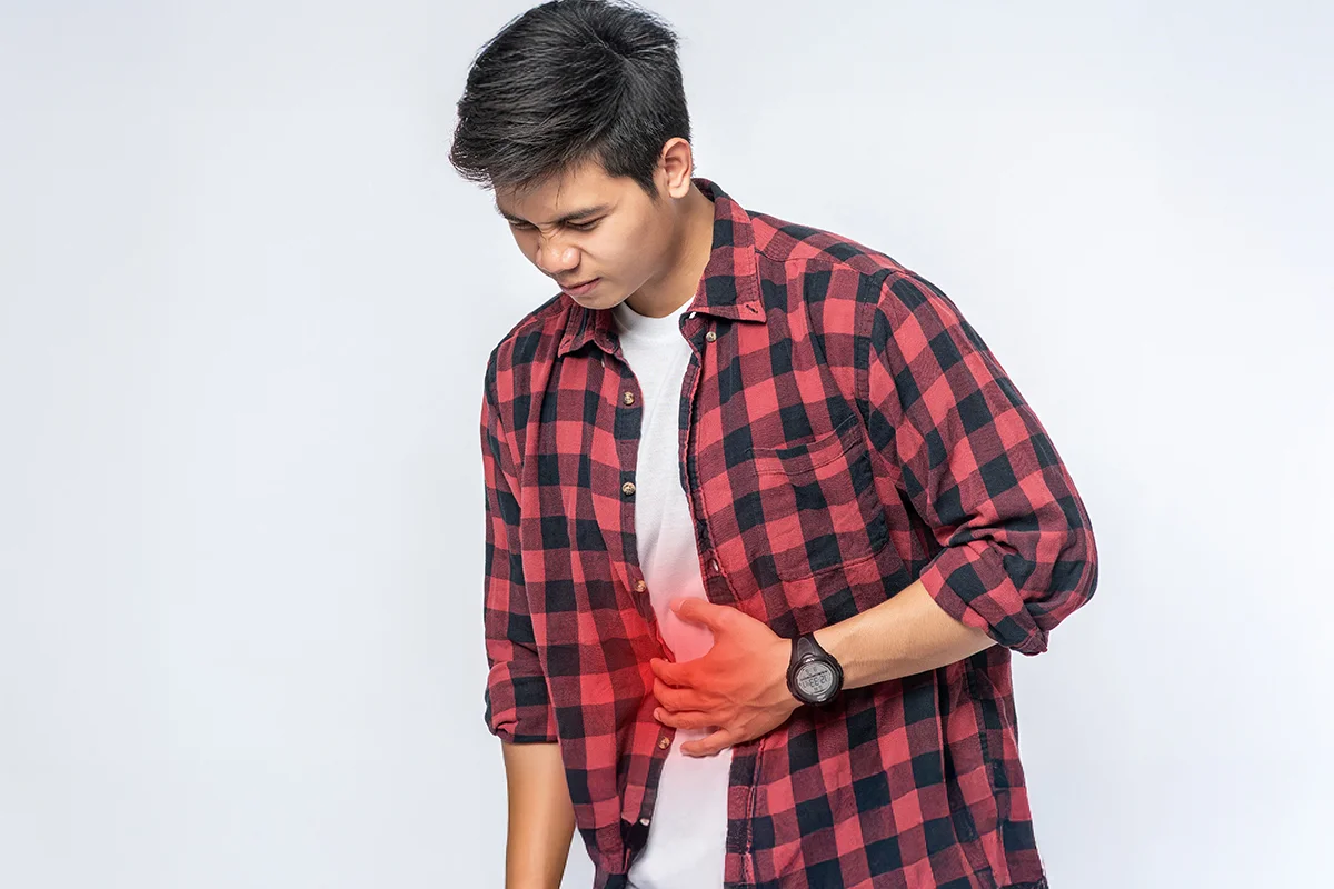 bahaya lalat pada makanan